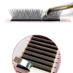 3D clover W premade volume Eyelash Extensions fans, L/0.07/MIX (8-15 mm)