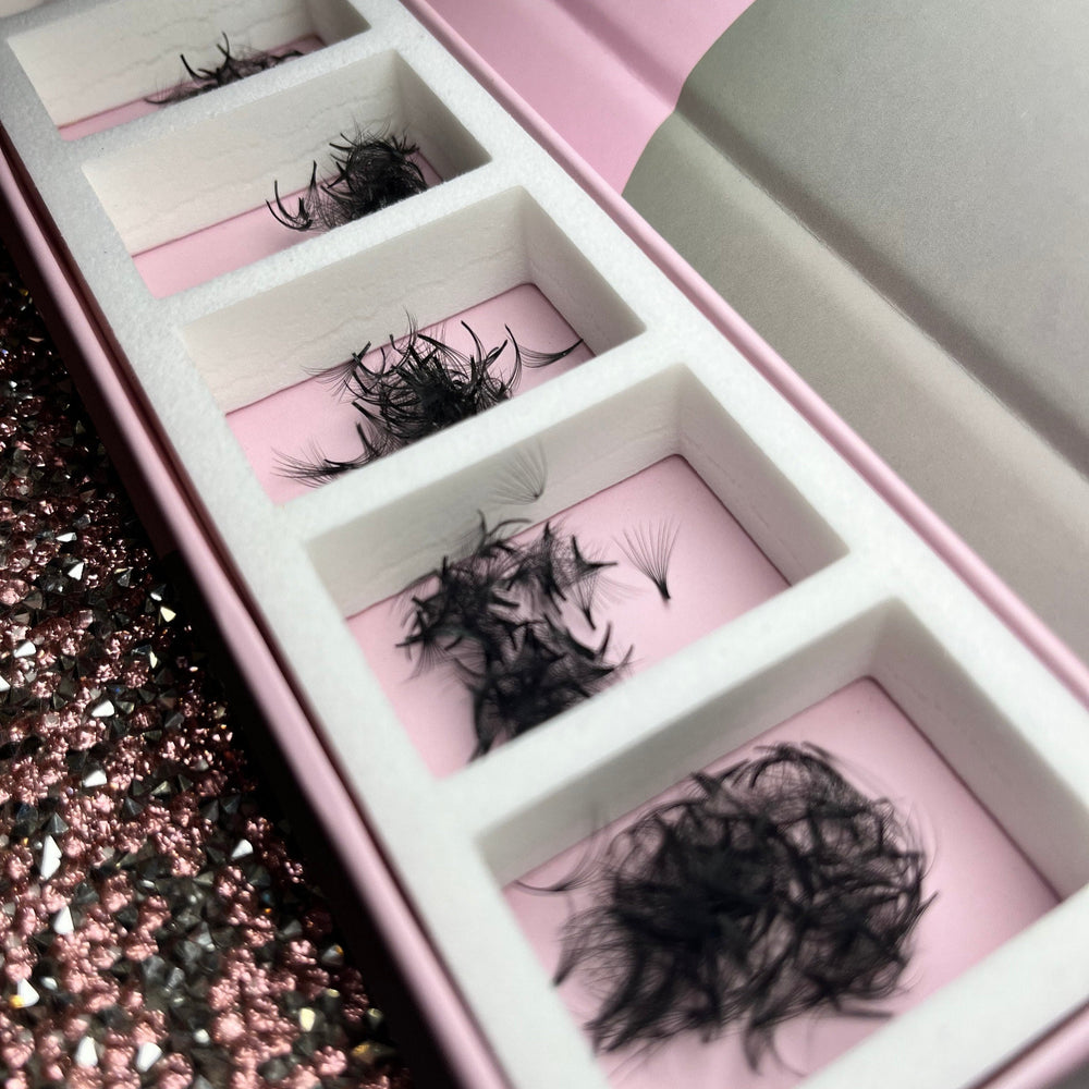 BIS Pure Lash PROmade 3D volume Eyelash Extensions fans | D/0.07/MIX