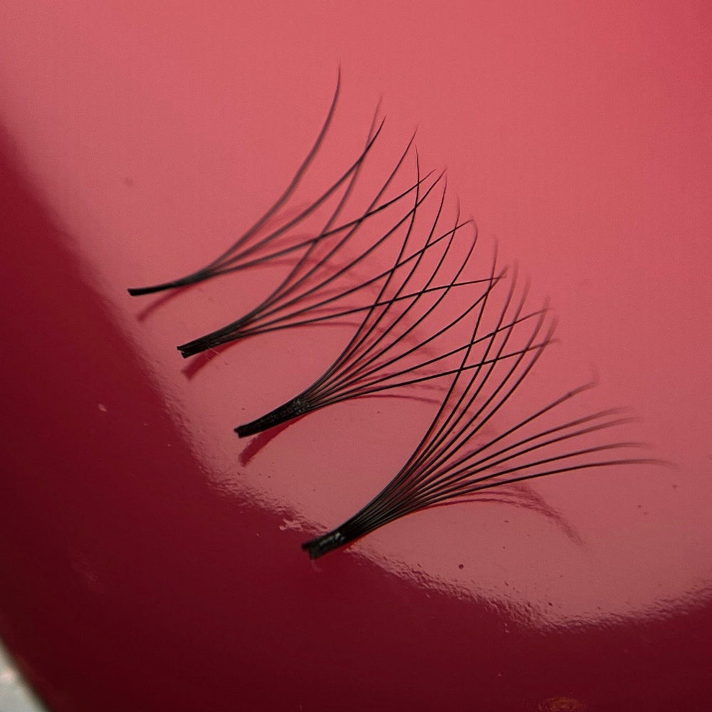 loose eyelash extensions volume promade fanson a red surface