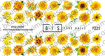 BIS Pure Nails  slider nail design sticker decal, YELLOW FLOWERS F225
