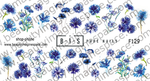 BIS Pure Nails water slider nail design sticker decal CORNFLOWERS, F129