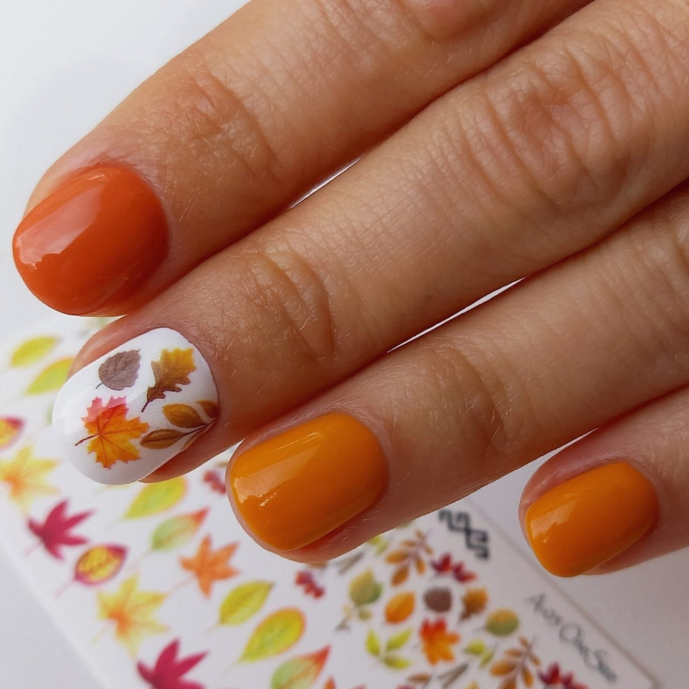 BIS Pure Nails Slider Nail Design Stickers Water Decals | AUTUMN A38