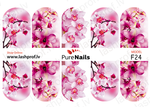 BIS Pure Nails  slider nail design sticker decal ORCHID, F24