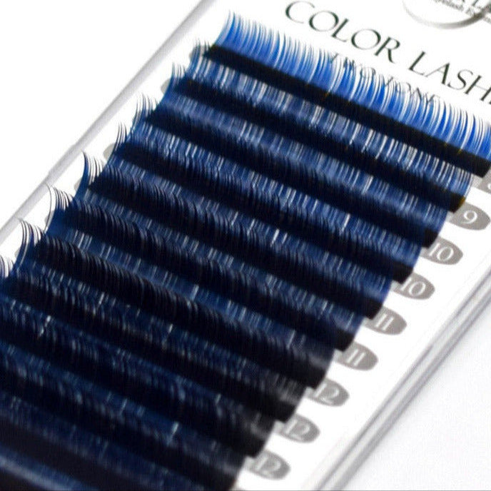 WonderLash® Black + Blue OMBRE for eylash extensions