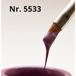 BIS Pure Nails Gel paint, 5533