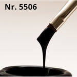 BIS Pure Nails Gel paint_BLACK 5506